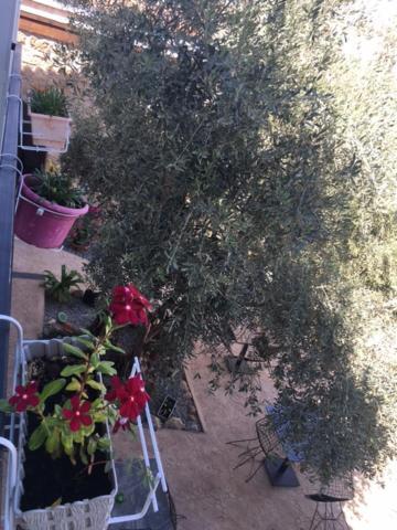 Bella Casetta Guest House Famagusta  Zewnętrze zdjęcie